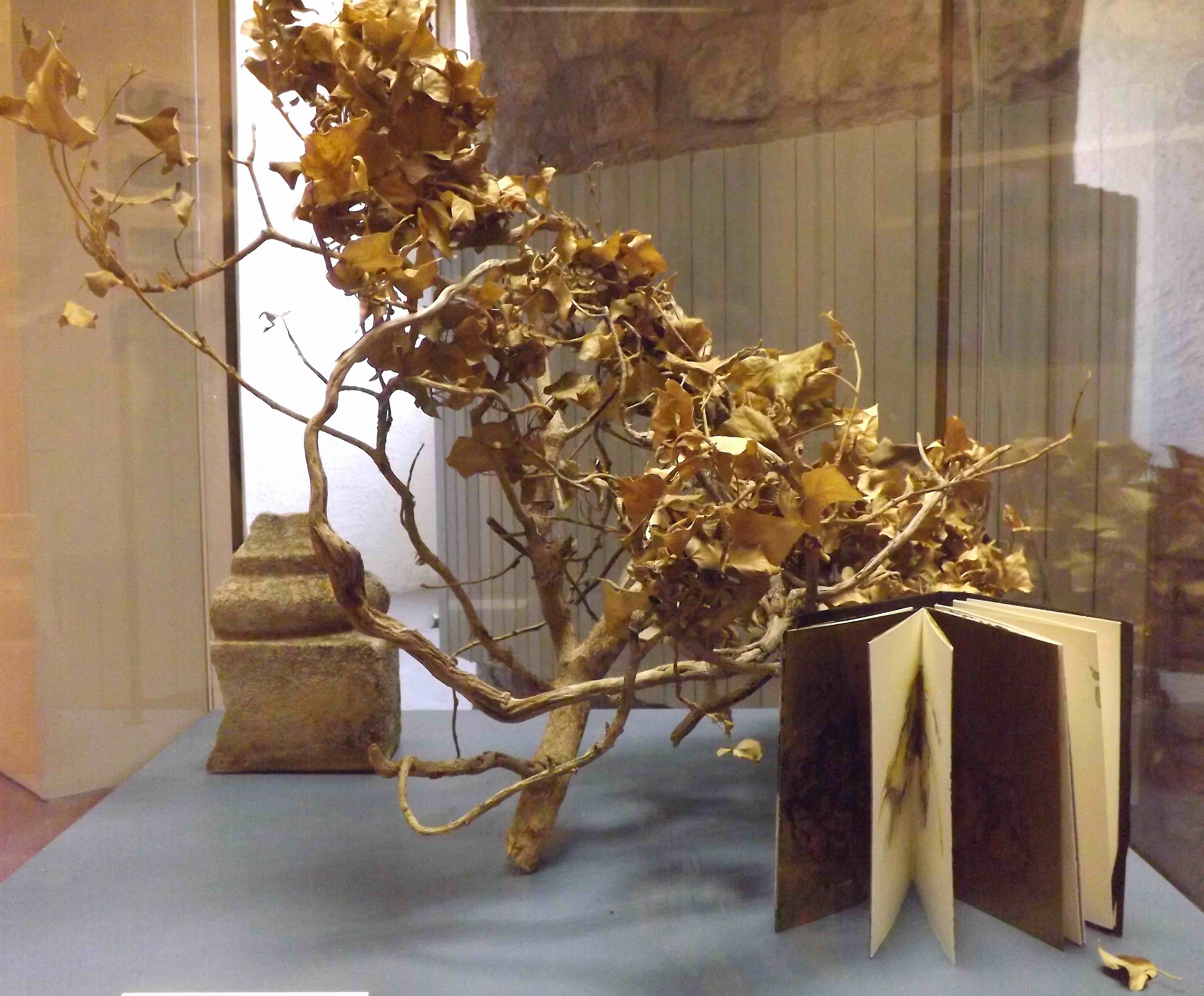Sala mostra: Di terra acqua e vento, Museo Nazionale etrusco di Rocca Albornoz, Viterbo, 2023